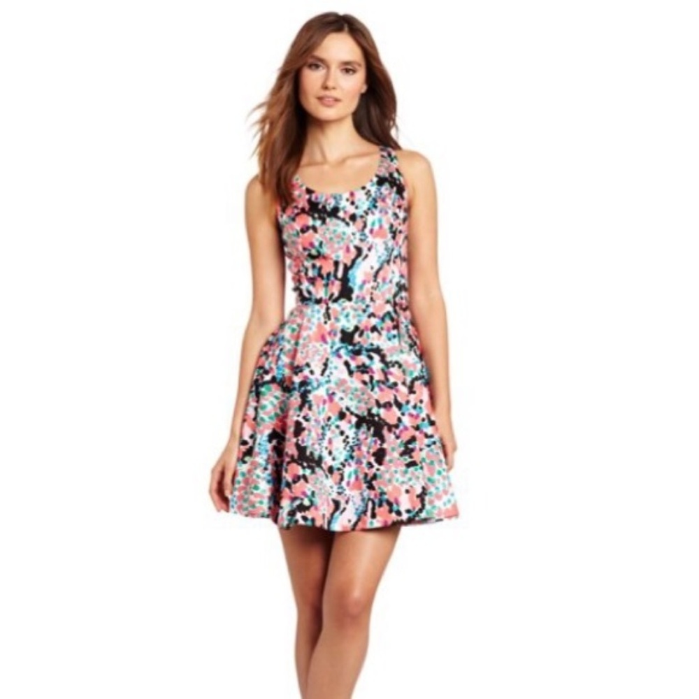 Lilly Pulitzer Gosling Cameo Sweet Nothings Dress